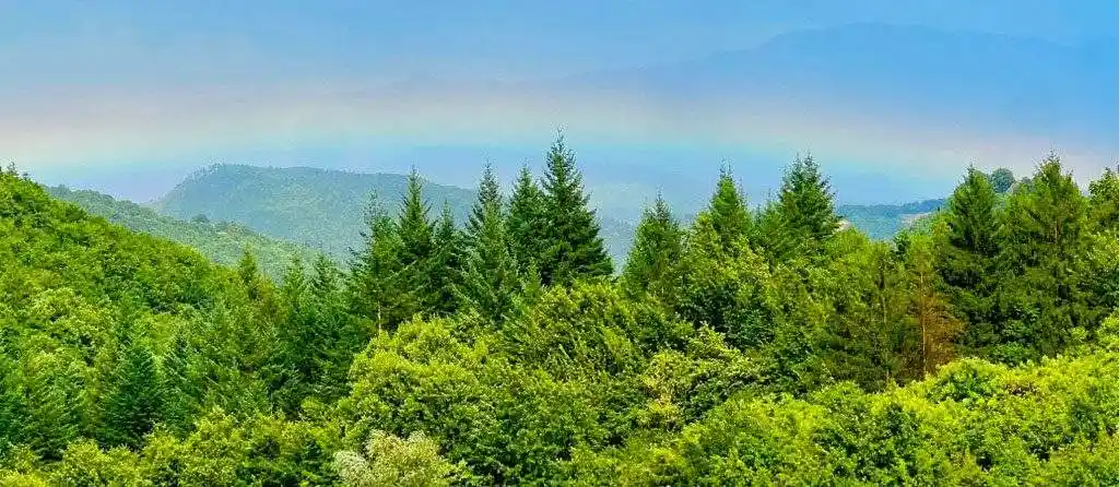 Il Vigno agriturismo stone farmhouse in Tuscany