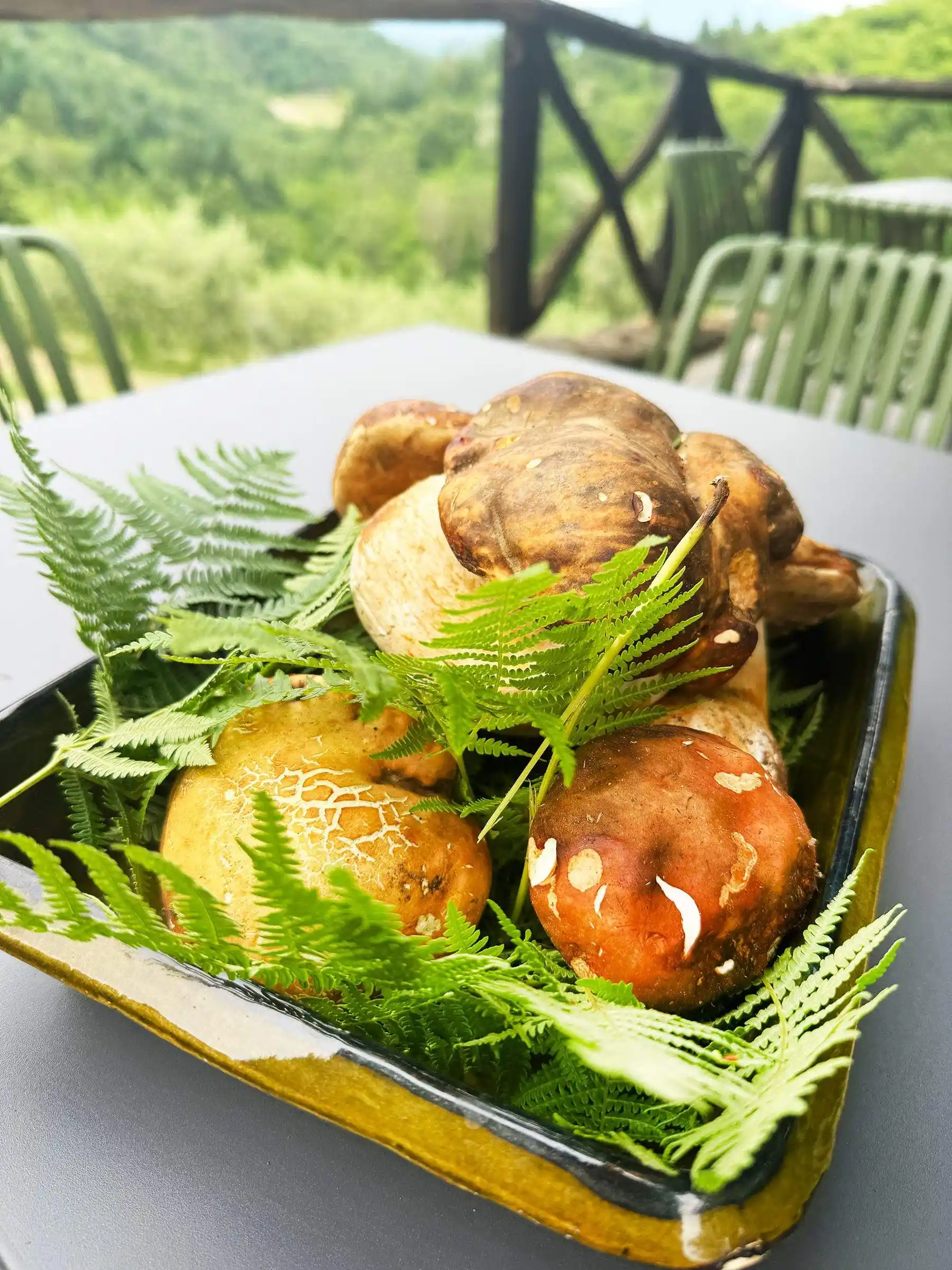 Organic farm-to-table food at Il Vigno agriturismo, Tuscany